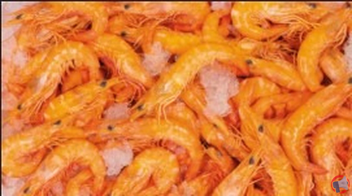 Rappel de crevettes bio cuites : pourquoi il faut vérifier avant de consommer