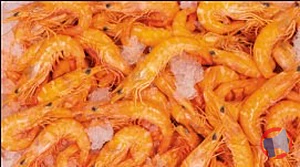 Rappel produit 40/60 crevettes bio cuites