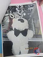 Rappel produit ABSENCE Porte-cle peluche ourson blanc a lunettes