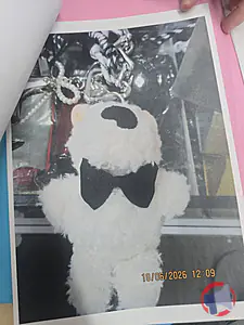 Rappel produit Porte-cle peluche ourson blanc a lunettes ABSENCE
