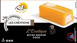 Rappel produit ADELIE BUCHE CREATION 850mL MANGUE - COCO ADELIE