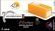Rappel produit ADELIE BUCHE CREATION 850mL MANGUE - COCO ADELIE (photo numéro 1)