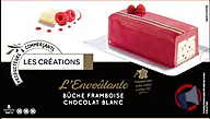 Rappel produit ADELIE BUCHE CREATION FRAMBOISE CHOCOLAT BLANC - 850mL ADELIE (photo numéro 1)