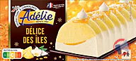 Rappel produit ADELIE BUCHE DELICES DES ILES - 900mL ADELIE (photo numéro 1)