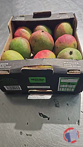 Rappel produit MANGUE VARIETE KENT SENEGAL AFRICA ONE