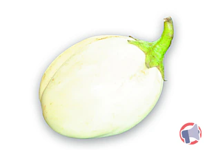Rappel produit AUBERGINE BLANCHE AGROBURKINA