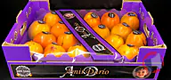 Rappel produit Kaki Persimon Amir Dario 18 Espagne cat 1 crt Amir Dario (photo numéro 1)