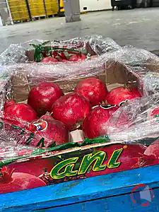 Rappel produit Grenade Hicaz origine Turquie ANI