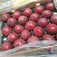 Rappel produit Ant Farm Fruit de la passion Vietnam