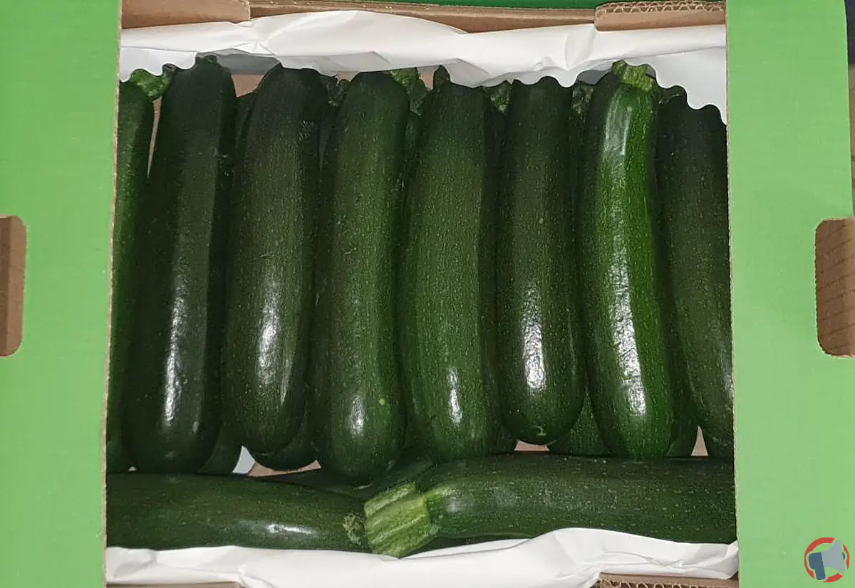 Rappel du produit anteus courgette : risques et précautions pour la sécurité des consommateurs