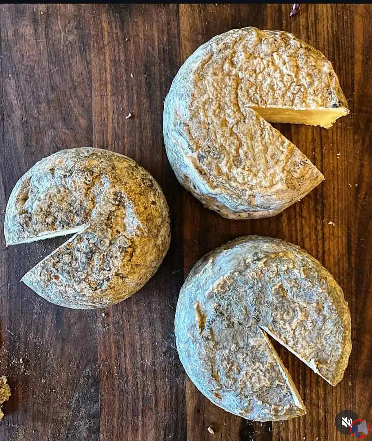Rappel du produit Antonini Tommette Bufflonne : avertissement de sécurité