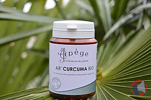 Rappel produit AR’CURCUMA BIO ARPEGE