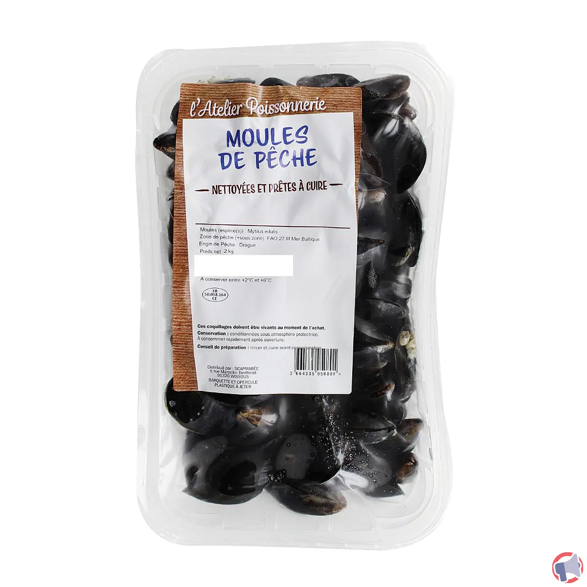 Rappel de moules de pêche Atelier Poissonnerie pour contamination à l'Escherichia coli
