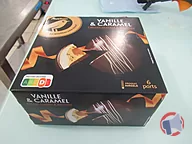 Rappel produit AUCHAN GOURMET DOME VANILLE CARAMEL BROWNIE 520G SURGELE AUCHAN (photo numéro 1)