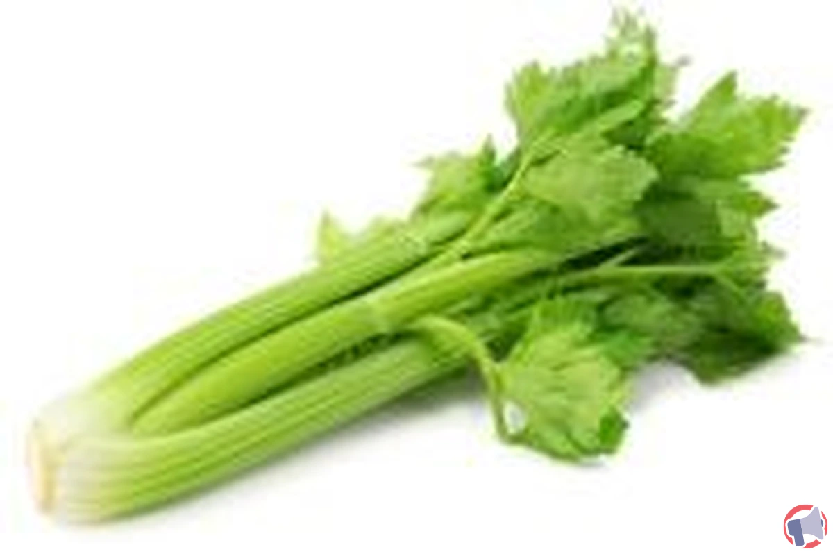 Rappel de céleri branche Auchan : dépassement des limites de pesticides