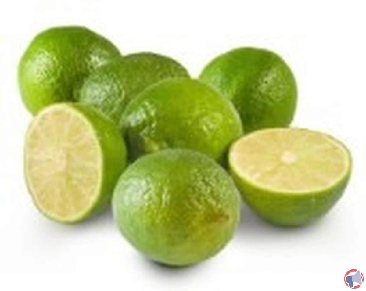 Rappel Auchan citron vert filet 500g origine b : analyse complète et recommandations
