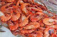 Rappel produit CREVETTES CUITES 50/70 EQUATEUR AUCHAN LE POISSONNIER