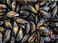 Rappel produit MOULES DE CORDE EN VRAC AUCHAN LE POISSONNIER (photo numéro 1)