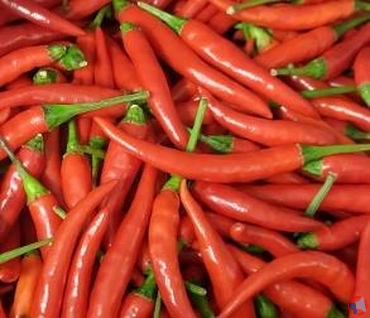 Rappel de mini piments rouges thaï pour dépassement des limites de pesticides