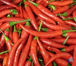 Rappel produit Mini piment rouge thaï Aucune