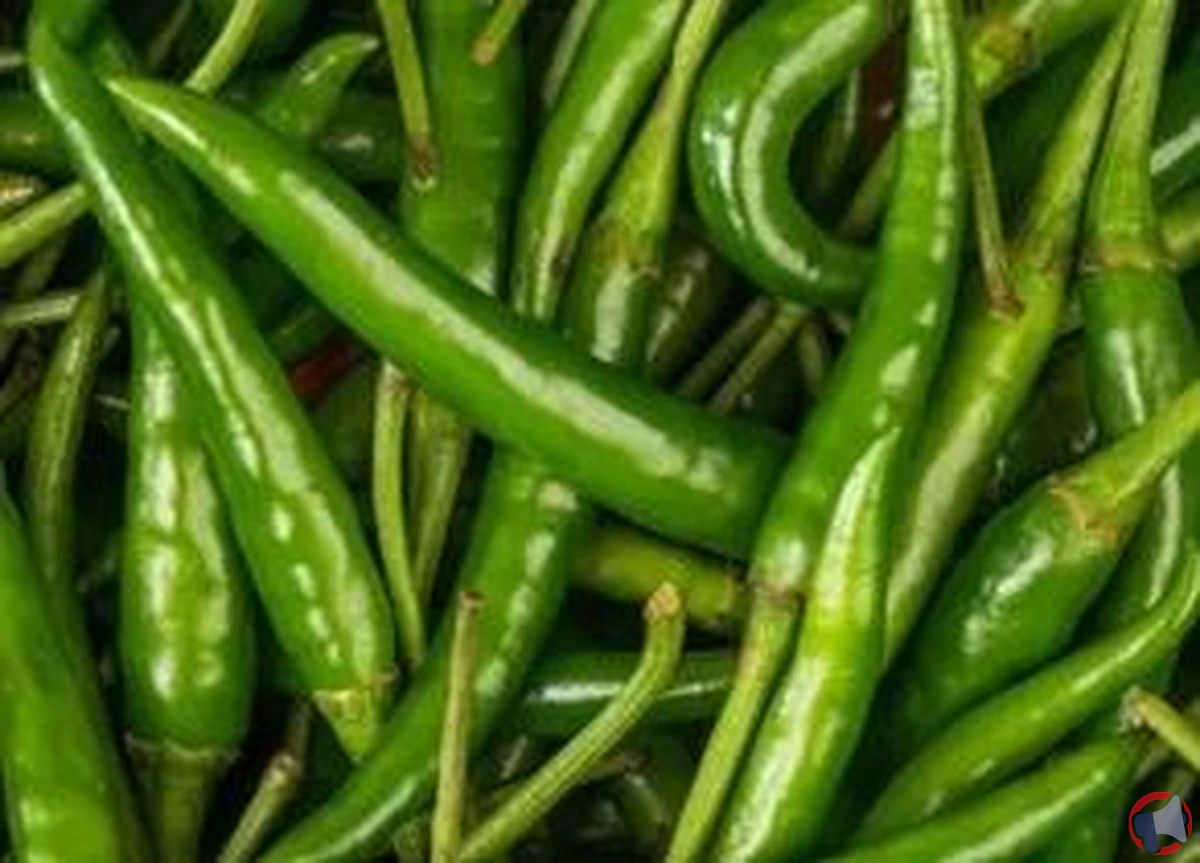 Rappel de mini piments verts thaï : dépassement des limites de pesticides