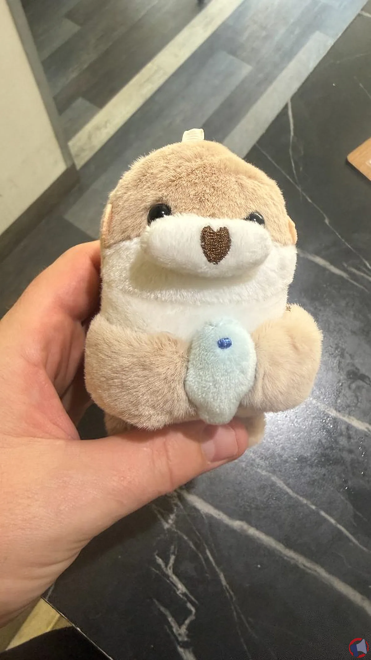 Rappel: porte-clés peluche loutre Poisso — sécurité et conseils pour les consommateurs