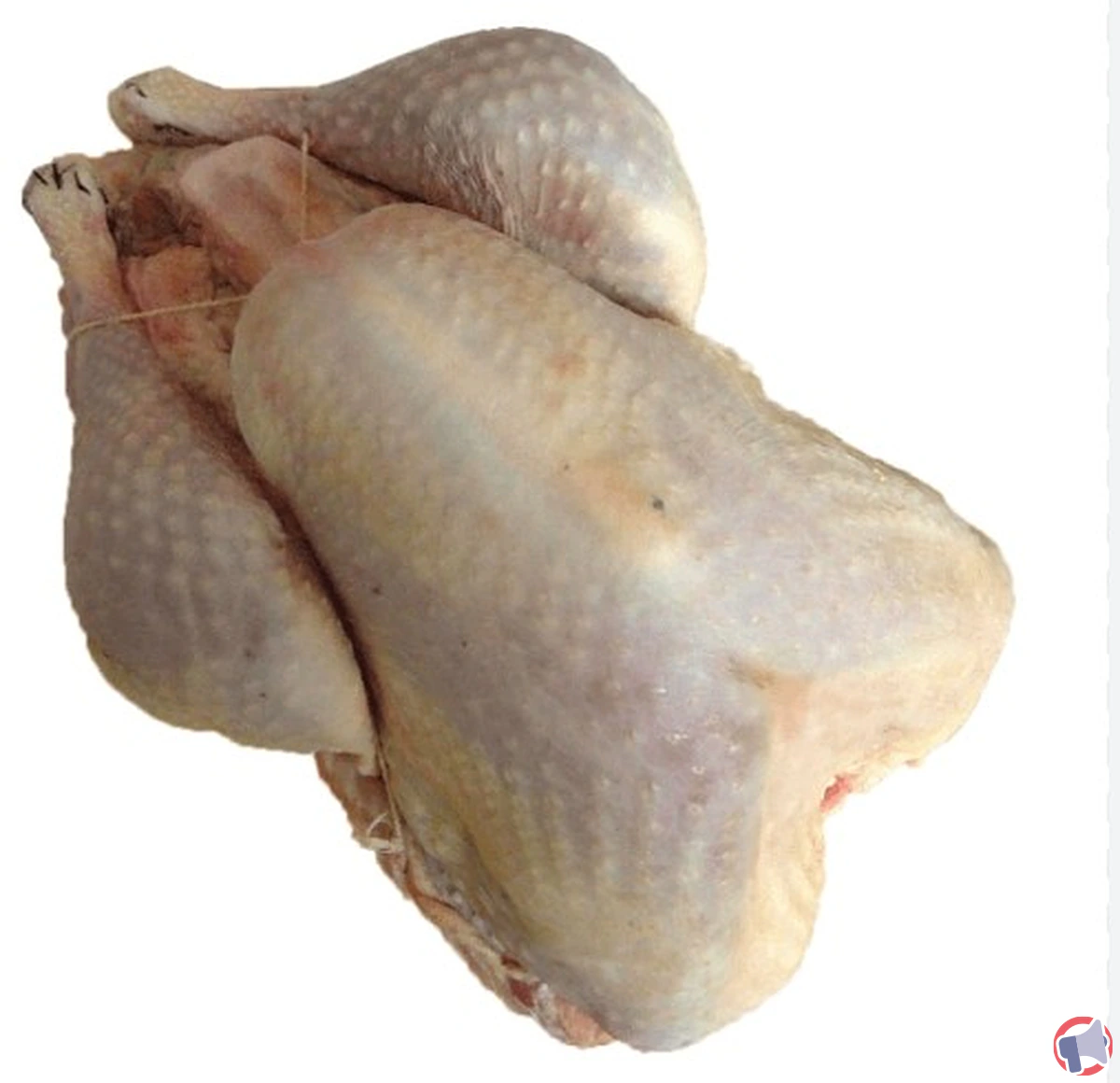 Rappel de produit : Dinde Prête à cuire de la marque AUTHENTIC HALAL