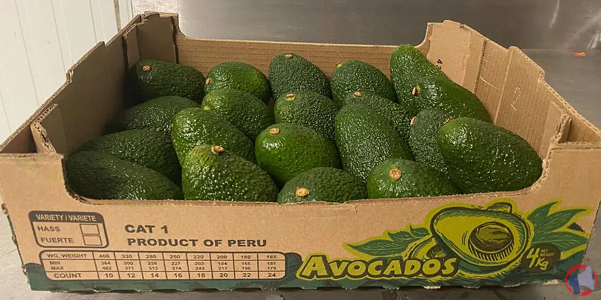 Rappel de produit : avocats hass de la marque Avocados pour dépassement de métaux lourds