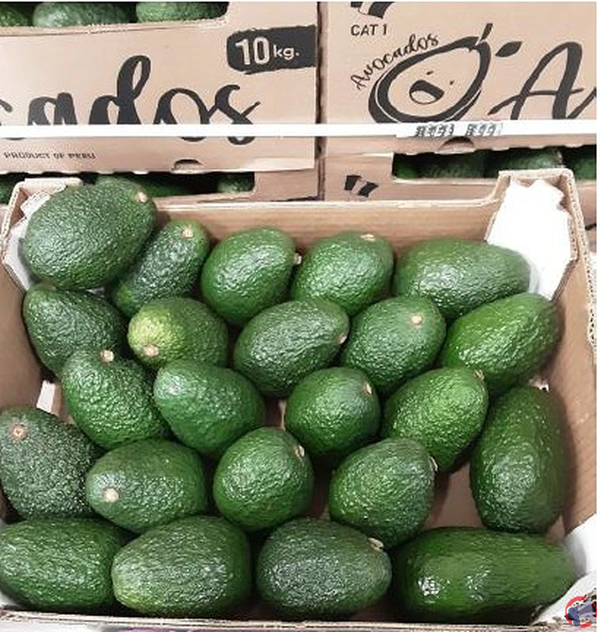 Rappel de l'avocat : précautions et informations essentielles