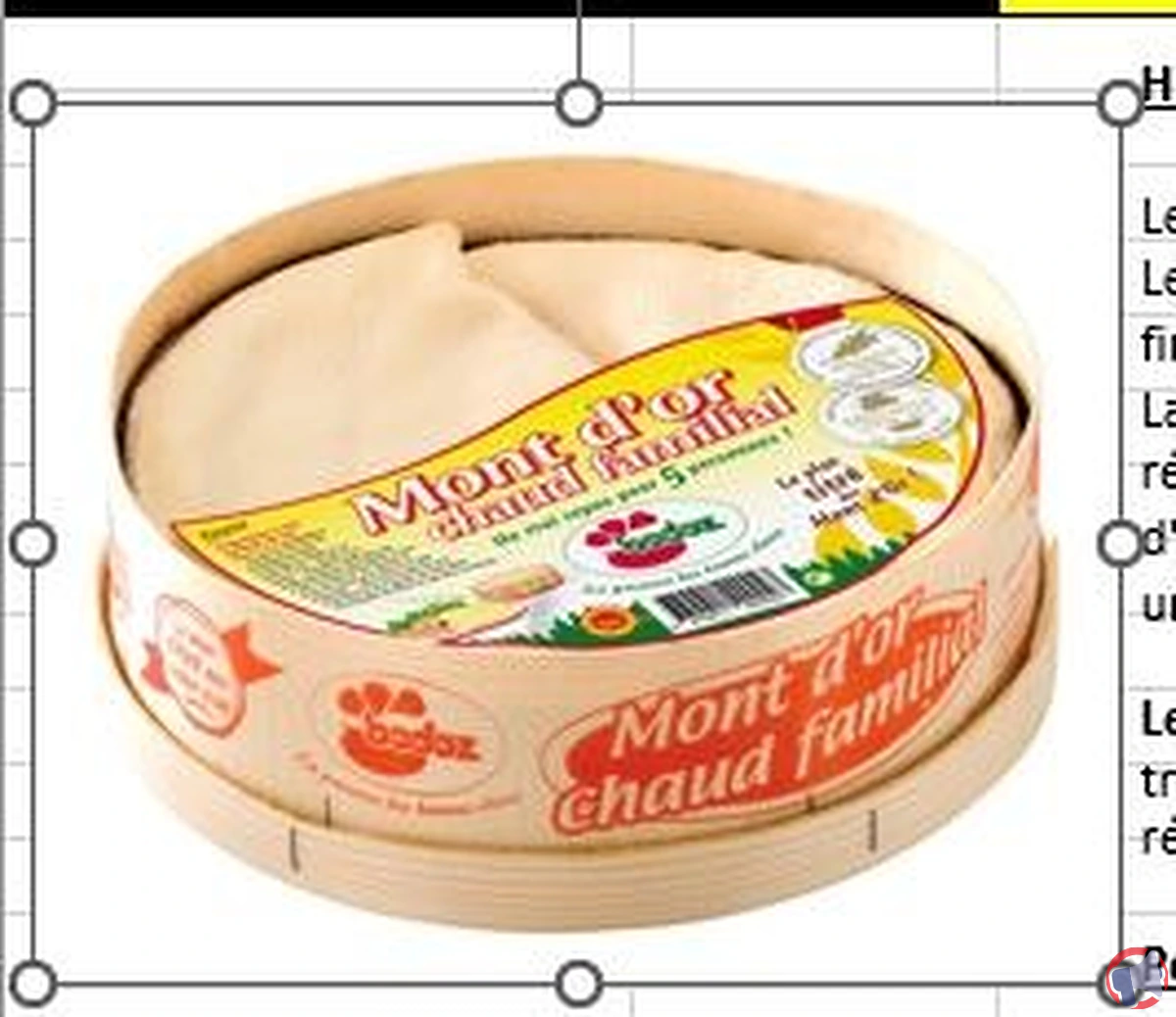 Rappel produit : Mont d'Or AOP Badoz pour risque de salmonellose