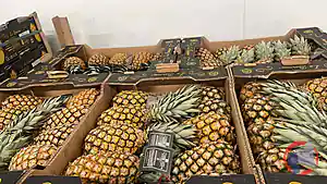 Rappel produit ANANAS PAIN DE SUCRE BENIN BARONNE