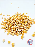 Rappel produit Maïs pop corn Le bio de Manon (photo numéro 2)