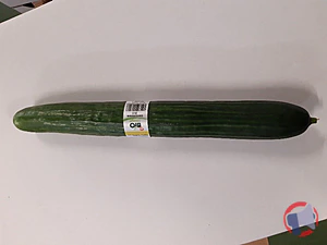 Rappel produit Concombre bio BIO VILLAGE de Marque repère