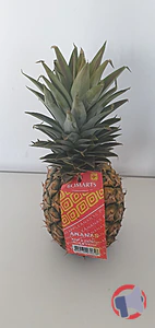Rappel produit ANANAS AVION CAYENNE BOMARTS