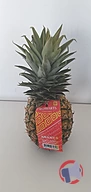 Rappel produit ANANAS AVION CAYENNE GHANA BOMARTS