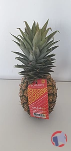 Rappel produit ANANAS AVION CAYENNE GHANA BOMARTS