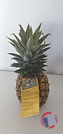 Rappel produit ANANAS AVION CAYENNE GHANA BOMARTS (photo numéro 2)