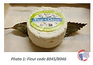 Rappel produit fromage au lait cru de chèvre LA BONDE DE GATINE (photo numéro 2)