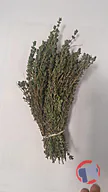 Rappel produit BOTTE THYM (photo numéro 1)