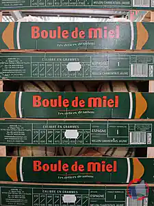 Rappel produit MELON CHARENTAIS D'ESPAGNE BOULE DE MIEL