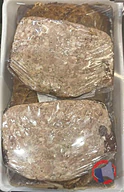 Rappel produit TERRINE DE CAMPAGNE ANCIENNE Le Breizh Regal - BRIENT SAS (photo numéro 1)