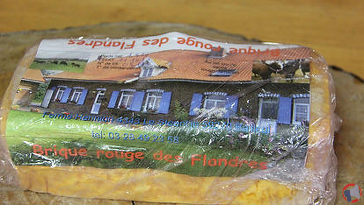 Rappel produit : Brique rouge des Flandres pour risque de listeria