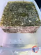 Rappel produit FROMAGE DE TETE PERSILLE AU BOURGOGNE ALIGOTE BRISSON (photo numéro 1)