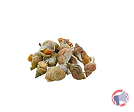 Rappel produit BULOTS CUITS MSC