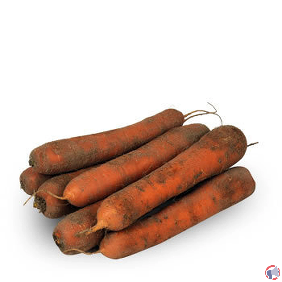 Rappel produit : Carotte sable 12 kg