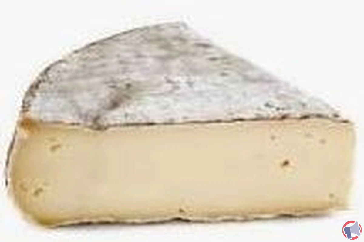 Rappel de produit : Saint Nectaire de Carrefour Le Marché pour risque de Listéria