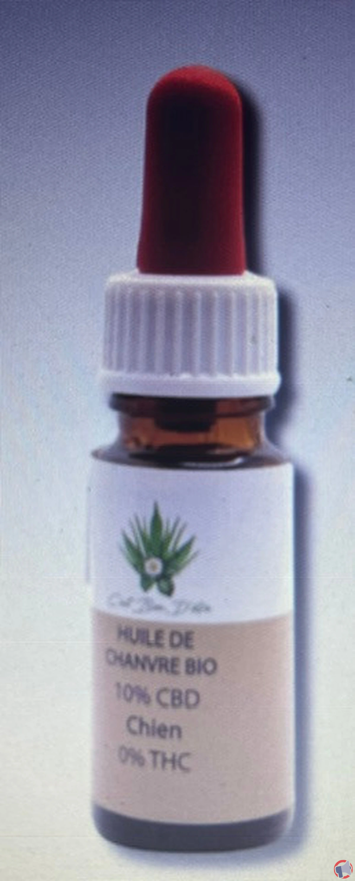 Rappel produit : huile CBD pour chien — 10 % CBD, 0 % THC