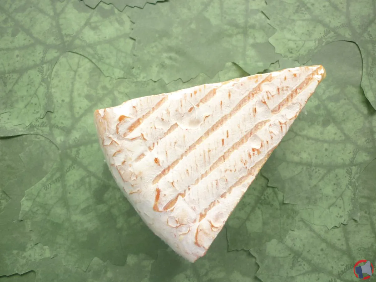 Rappel de fromage Chabrol : risque de contamination à la Listeria monocytogenes