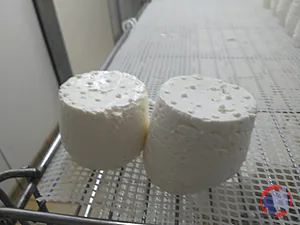 Rappel produit Fromages de chèvres et mi-chèvre au lait cru Chez Pinpin