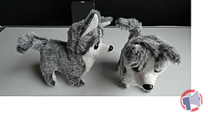 Rappel produit Chien à pile